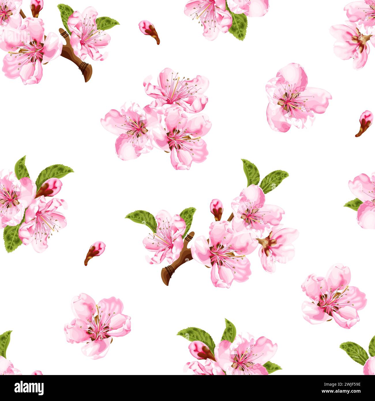 Motivo primaverile senza cuciture con fiori di pesca. Illustrazione Vettoriale