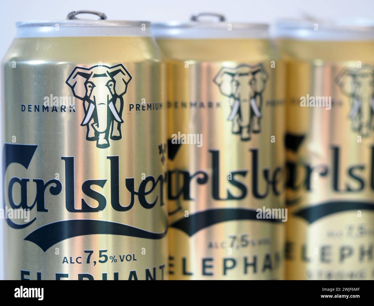 Baviera, Germania - 15 febbraio 2024: In questa foto, in lattine di alluminio di Carlsberg Beer Elephant Foto Stock