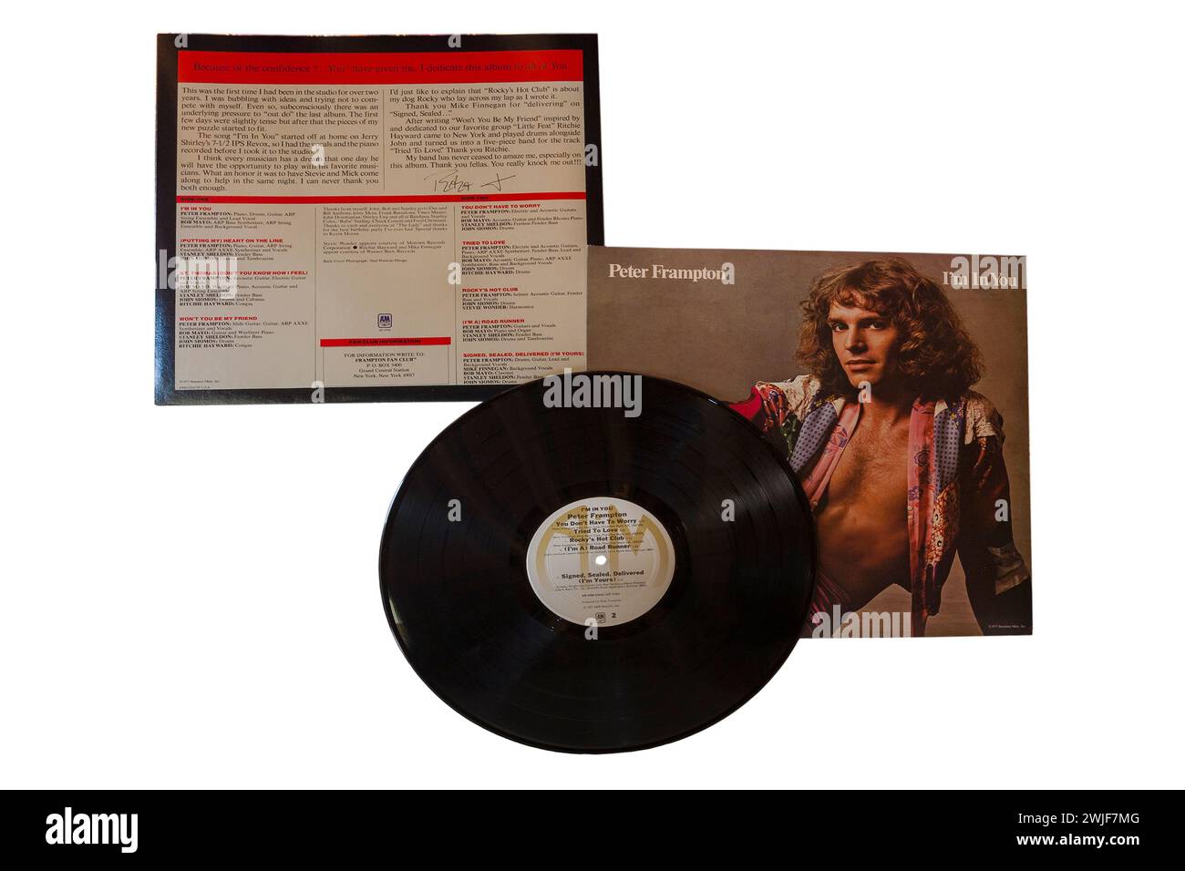 Peter Frampton i'm in You album vinile copertina LP isolata su sfondo bianco - 1977 Foto Stock