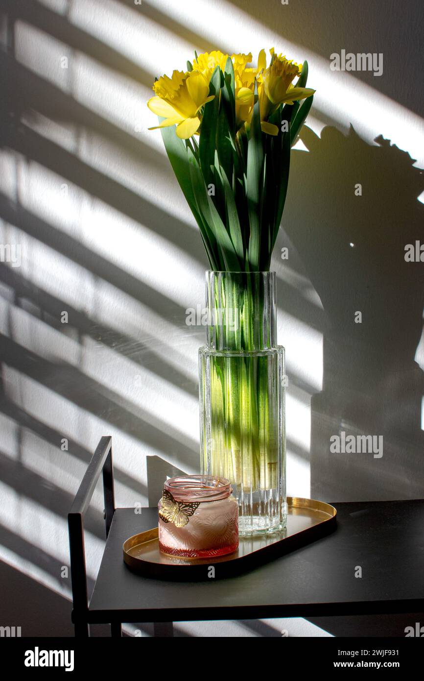 Bouquet di narciso giallo in un vaso di vetro in una tonalità insolita Foto Stock