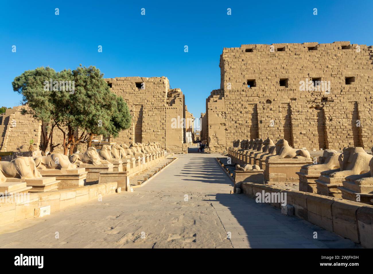 Ingresso al complesso del tempio di Karnak sulla riva orientale del fiume Nilo, a Luxor in Egitto Foto Stock