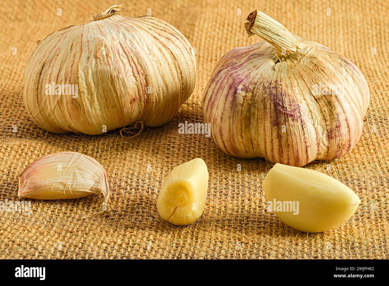 Vetrina degli ingredienti gourmet: Teste d'aglio vivaci su un panno rustico Foto Stock