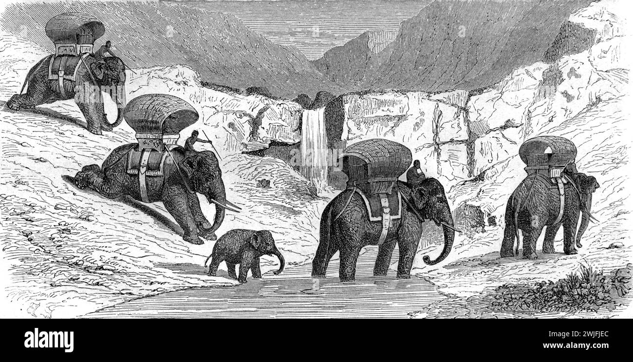 Carovana degli elefanti, elefanti addomesticati o funzionanti guidati dai loro Mahouts o Elephant Riders o Trainers Laos. Incisione vintage o storica o illustrazione 1863. Foto Stock