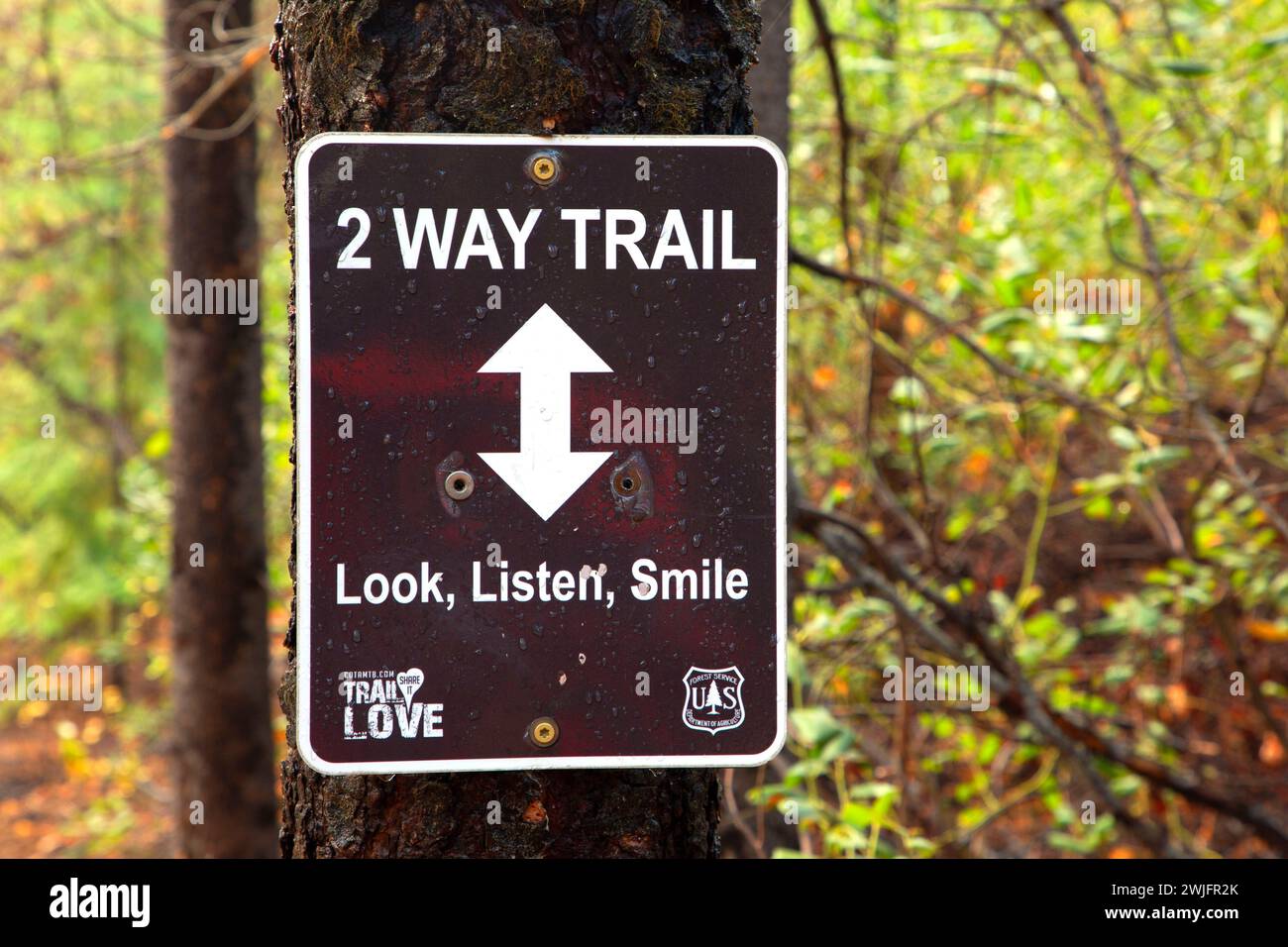 Cartello segnaletico lungo il South Fork Trail, Deschutes National Forest, Oregon Foto Stock