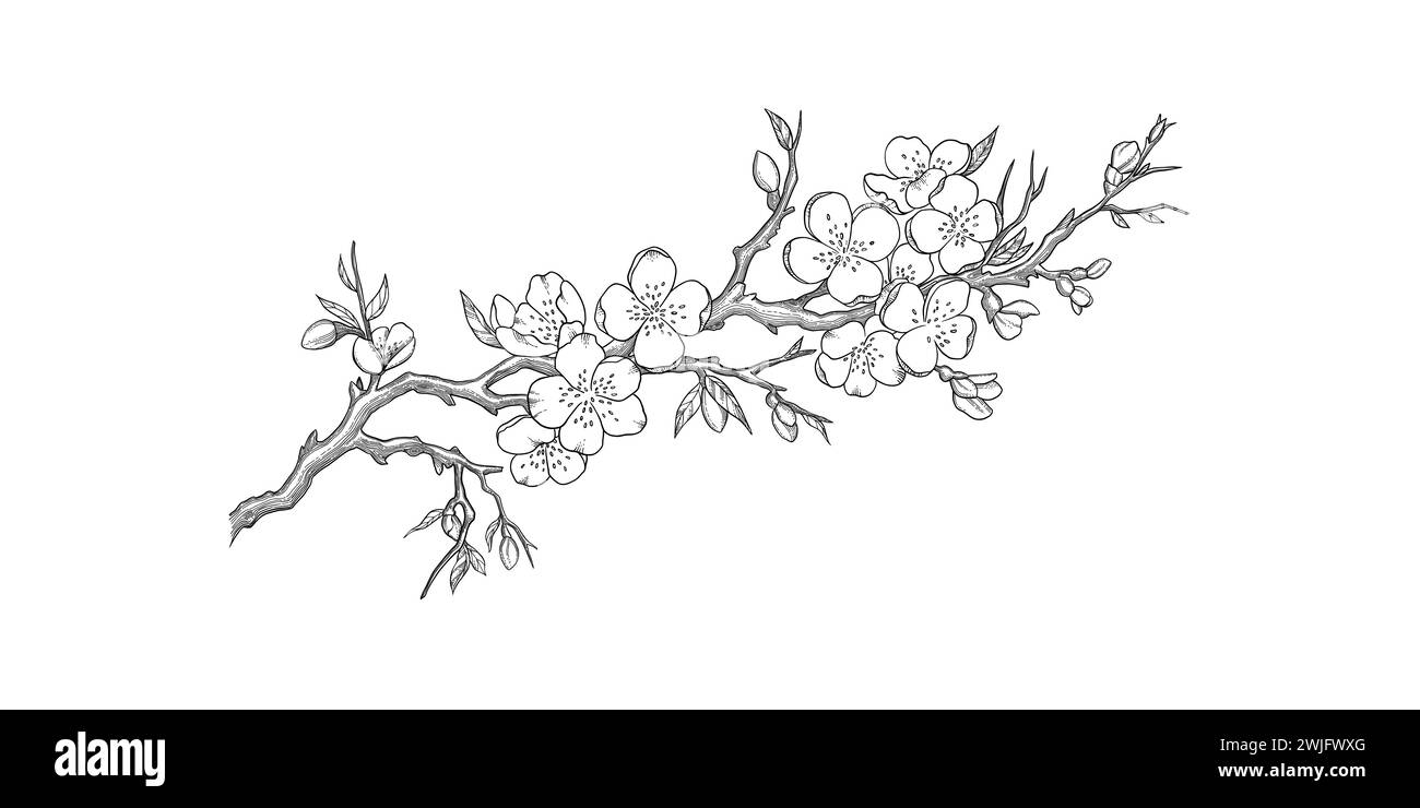 Elemento di design floreale Sakura. Set di forme geometriche. Emblema dal design lineare moderno. Moderne composizioni lineari astratte ed elementi di design grafico Illustrazione Vettoriale