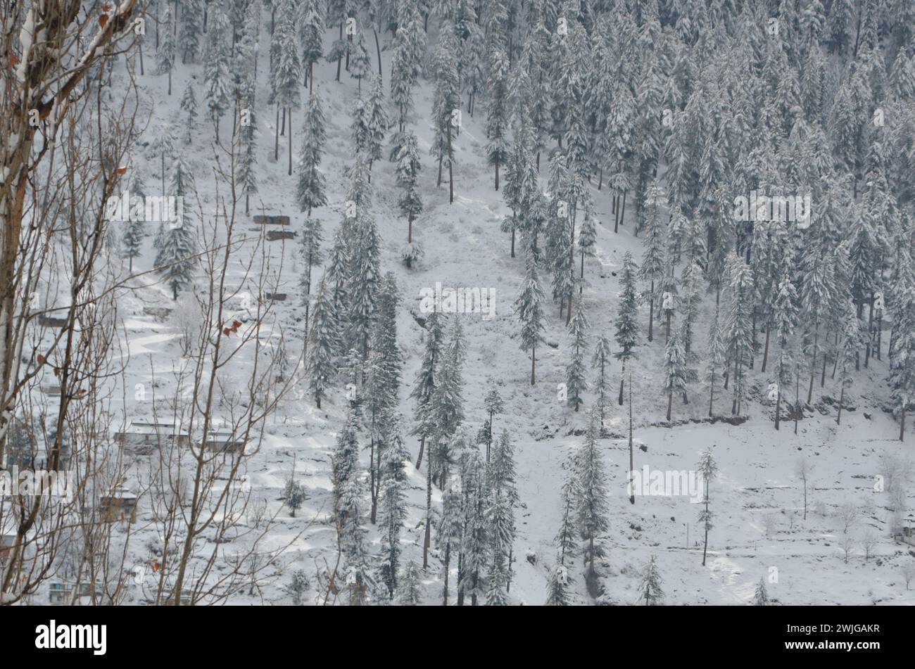 Nevicata a Kaghan Naran febbraio 2024 Foto Stock