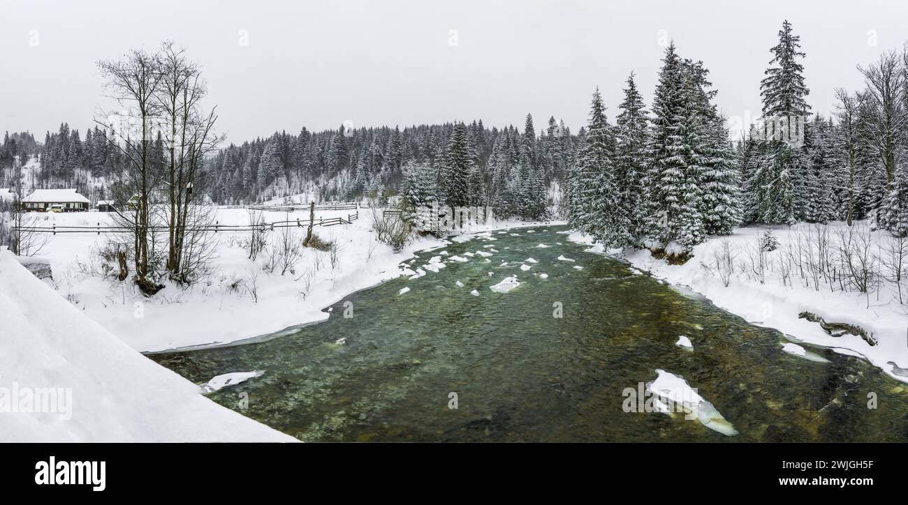 Inverno nevoso nei Carpazi. Fiume di montagna Prut e foresta di neve. Vorokhta, regione di Ivano-Frankivsk, Ucraina Foto Stock