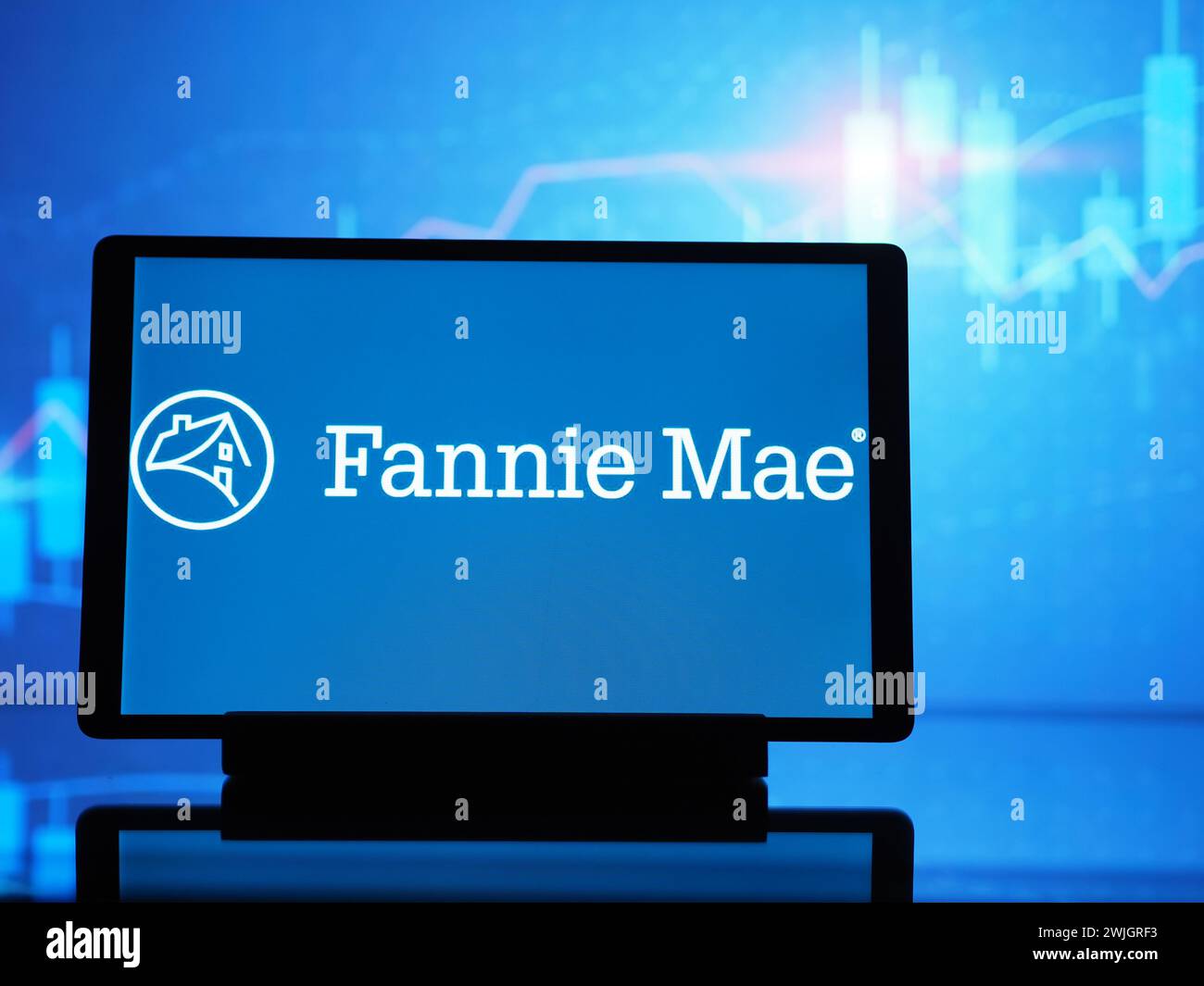 In questa illustrazione fotografica, il logo Fannie Mae (eigentlich Federal National Mortgage Association, FNMA) visualizzato su un tablet Foto Stock