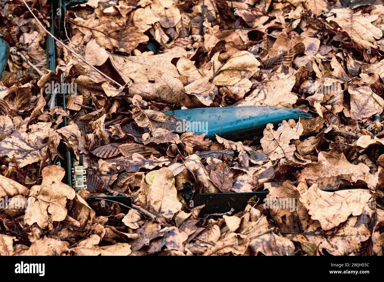 Broken Cathode Electron Beam Tube of Old TV, spazzatura televisiva frantumata nei boschi, rifiuti nella foresta, discariche illegali, inquinamento forestale Foto Stock