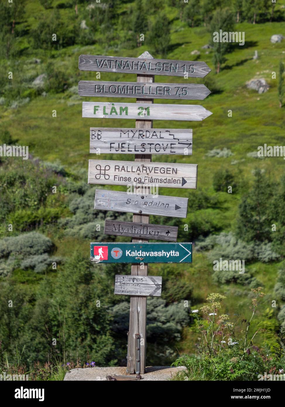 Cartelli in legno alla stazione di Myrdal in cima alla Flåmsbana (ferrovia Flåm) lungo il percorso da Myrdal a Flåm, Norvegia. Foto Stock