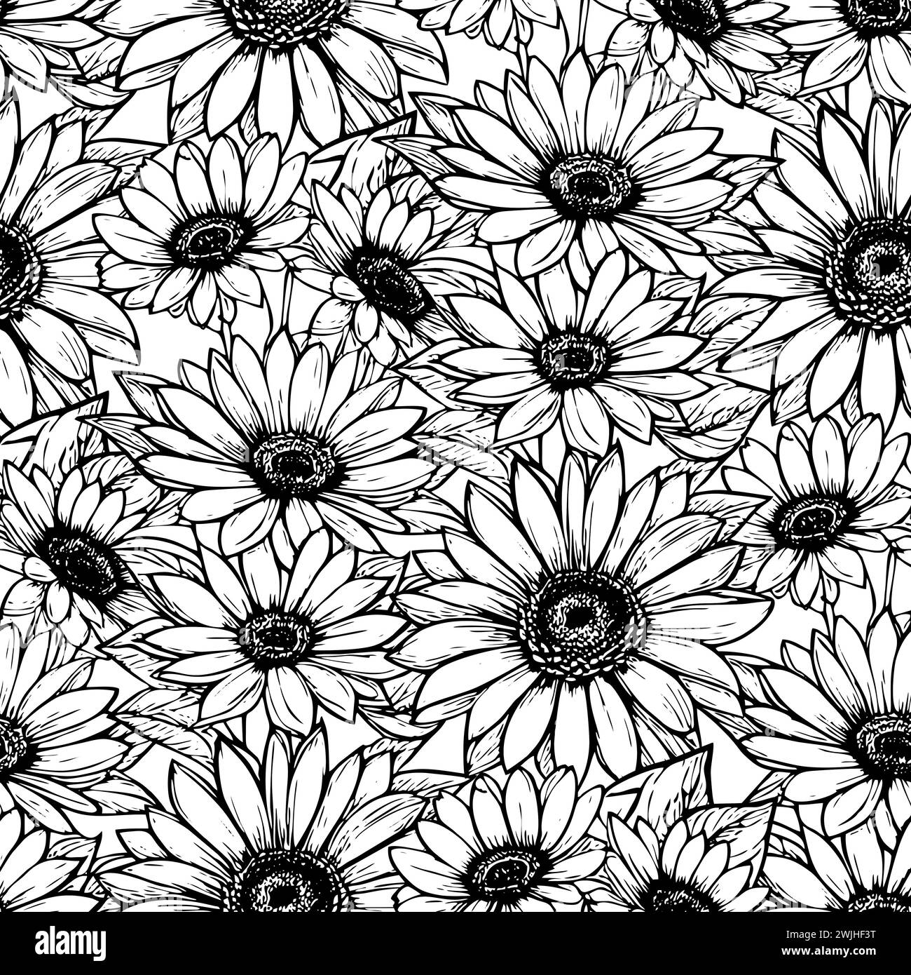 motivo senza cuciture di grandi fiori bianchi e neri su sfondo bianco, texture, design Foto Stock