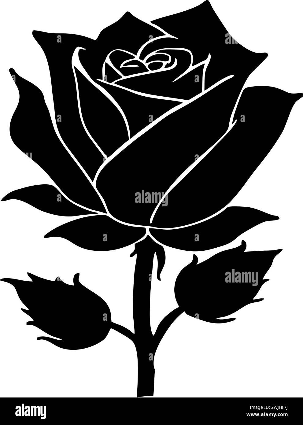 disegno grafico nero di un fiore di rosa con foglie, elemento decorativo monocromatico Foto Stock