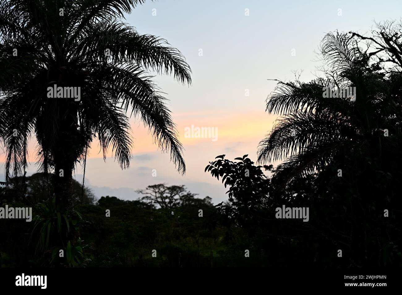 Volcán MIRAVALLES, PROVINCIA DI ALUAJUELA, COSTA RICA: Vista del tramonto di un'ora magica vicino a Volcán Miravalles nella provincia di Aluajuela, Costa Rica. Foto Stock