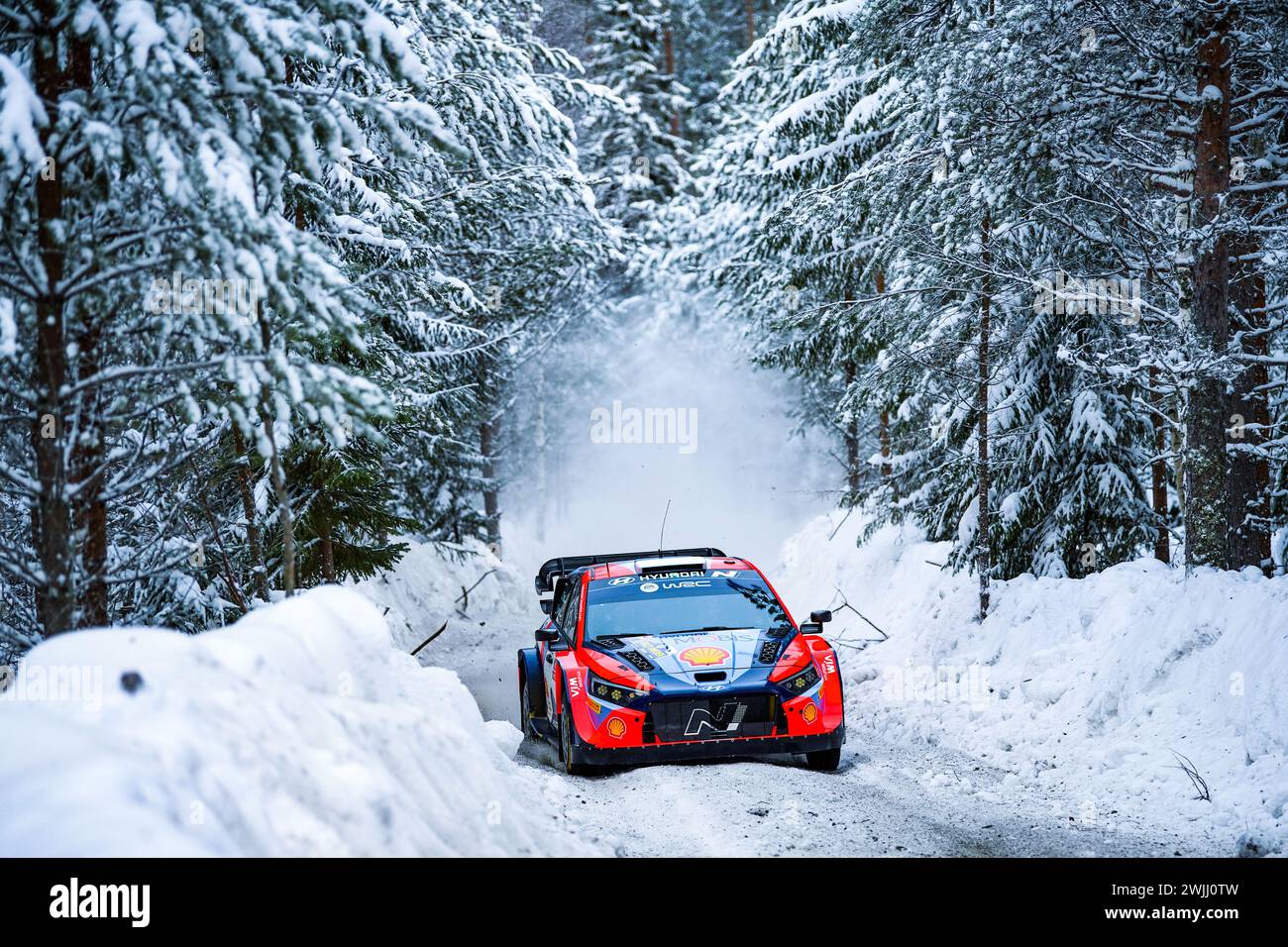 Umea, Svezia. 15 febbraio 2024. Il pilota Ott Tanak (Est) della Hyundai Shell Mobis World Rally Team visto in azione durante il FIA World Rally Championship WRC Rally. Credito: SOPA Images Limited/Alamy Live News Foto Stock