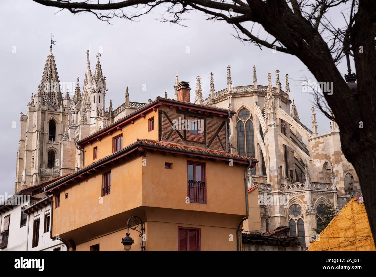 Catedral de León entre las casas des casco antiguo Foto Stock