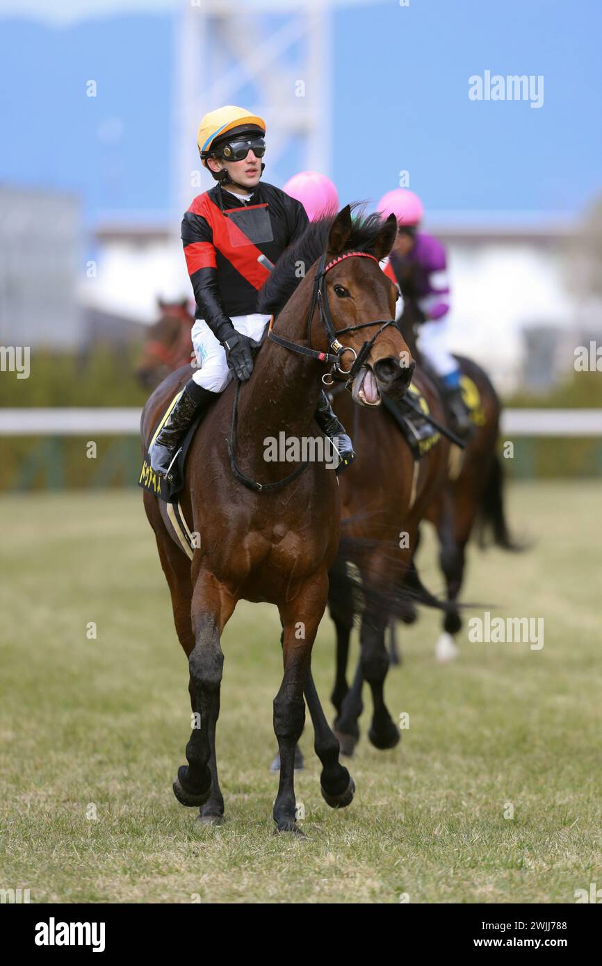 2024/02/10 KYOTO 11R RAKUYO SAKES Doe Eyes/Aurelien Lemaitre Jockey Kyoto Racecourse a Kyoto, Giappone, il 10 febbraio 2024. Crediti: Eiichi Yamane/AFLO/Alamy Live News Foto Stock