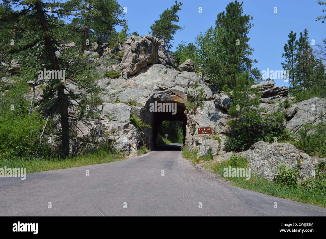Tunnel attraverso il parco Foto Stock