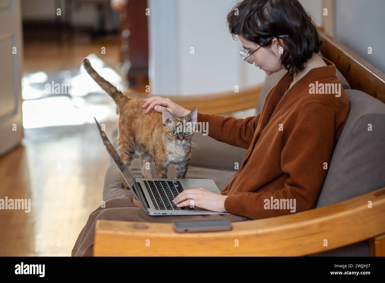 Tenera e amorevole ragazza seduta sul divano, gatto accarezzato che distoglie l'attenzione della ragazza dal lavoro, studia Foto Stock
