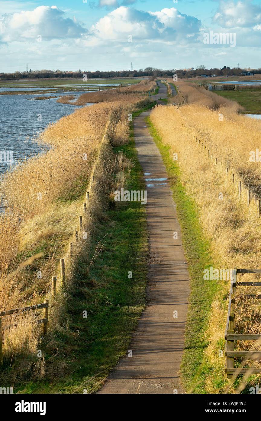 RSPB riserva naturale di Frampton Marsh vista dalla riva del mare che guarda nell'entroterra, Frampton, Boston, Lincolnshire, Regno Unito Foto Stock