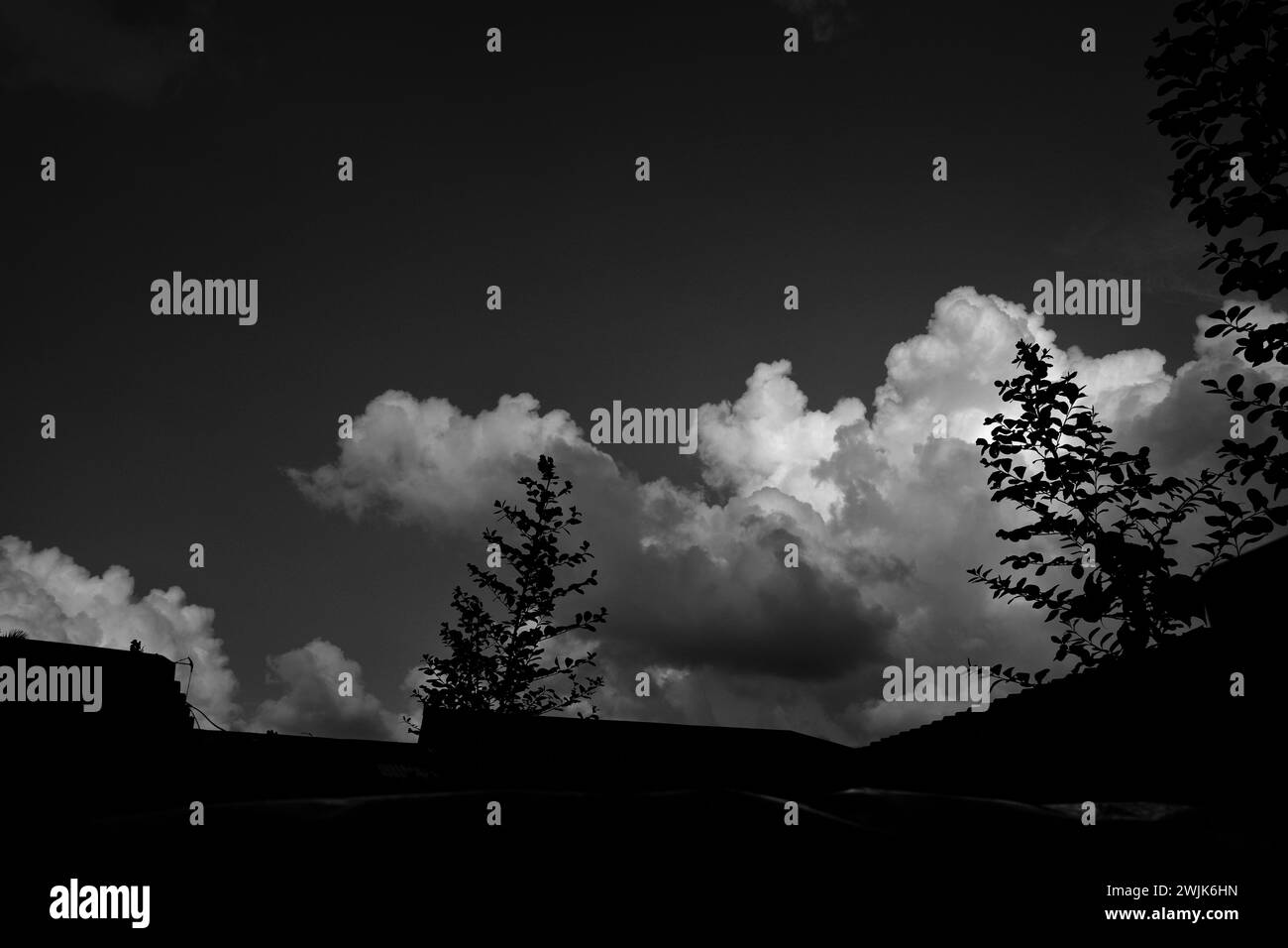 Sotto il drammatico contrasto di un cielo nuvoloso bianco e nero, la natura dipinge una tela accattivante, stimolando emozioni e ispirando contemplazione Foto Stock