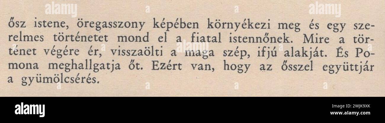 Petrovics Elek. Magyar mesterművek. Budapest, 1936. Pesti Napló. Athenaeum Irodalmi és Nyomdai RT. / capolavori ungheresi / pittori ungheresi / belle arti ungheresi / magyar festők / magyar képzőművészek /pittori ungheresi. Descrizione dei dipinti di proprietà del tempo in cui il libro è stato pubblicato ( 1936 ) / Részletes képleírások, műelemzések, és a könyv kiadásának idejében ( 1936 ) lévő tulajdonosok megnevezése : Szépművészeti Múzeum / il dipinto apparteneva nel 1936 al Museo di Belle Arti / Mányoki Ádám : önarckép / Adam Manyoki pittore ungherese : autoritratto Foto Stock