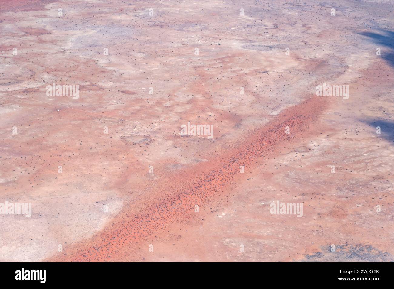Paesaggio aereo con vegetazione sparsa sulle dune rosse nel deserto, scattato da un aereo aliante con la luce brillante della tarda primavera vicino a Hochanas, Namibia, Africa Foto Stock