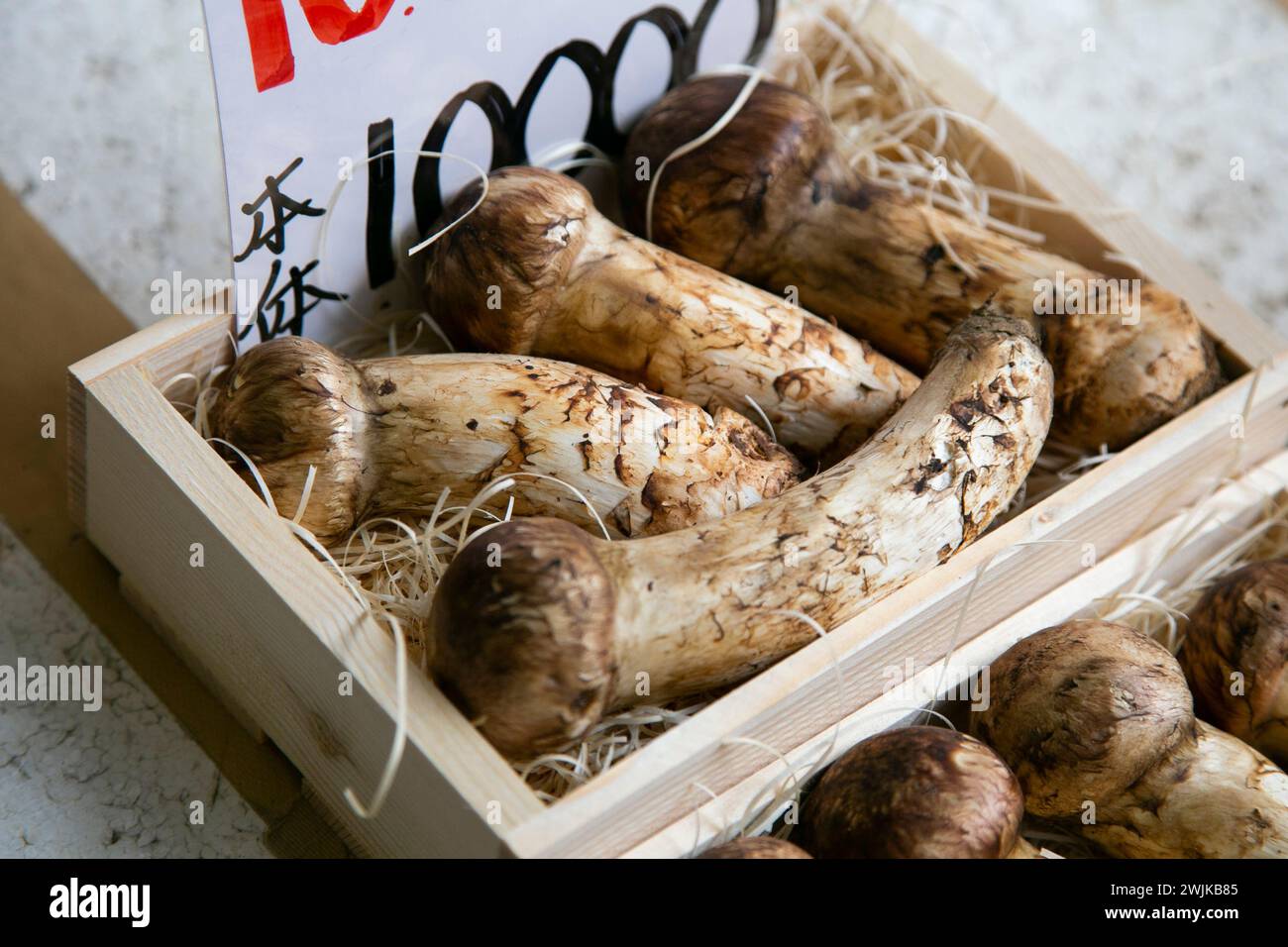 Funghi Matsutake in una bancarella alimentare al mercato esterno di Tsukiji nella città di Tokyo, in Giappone. Foto Stock