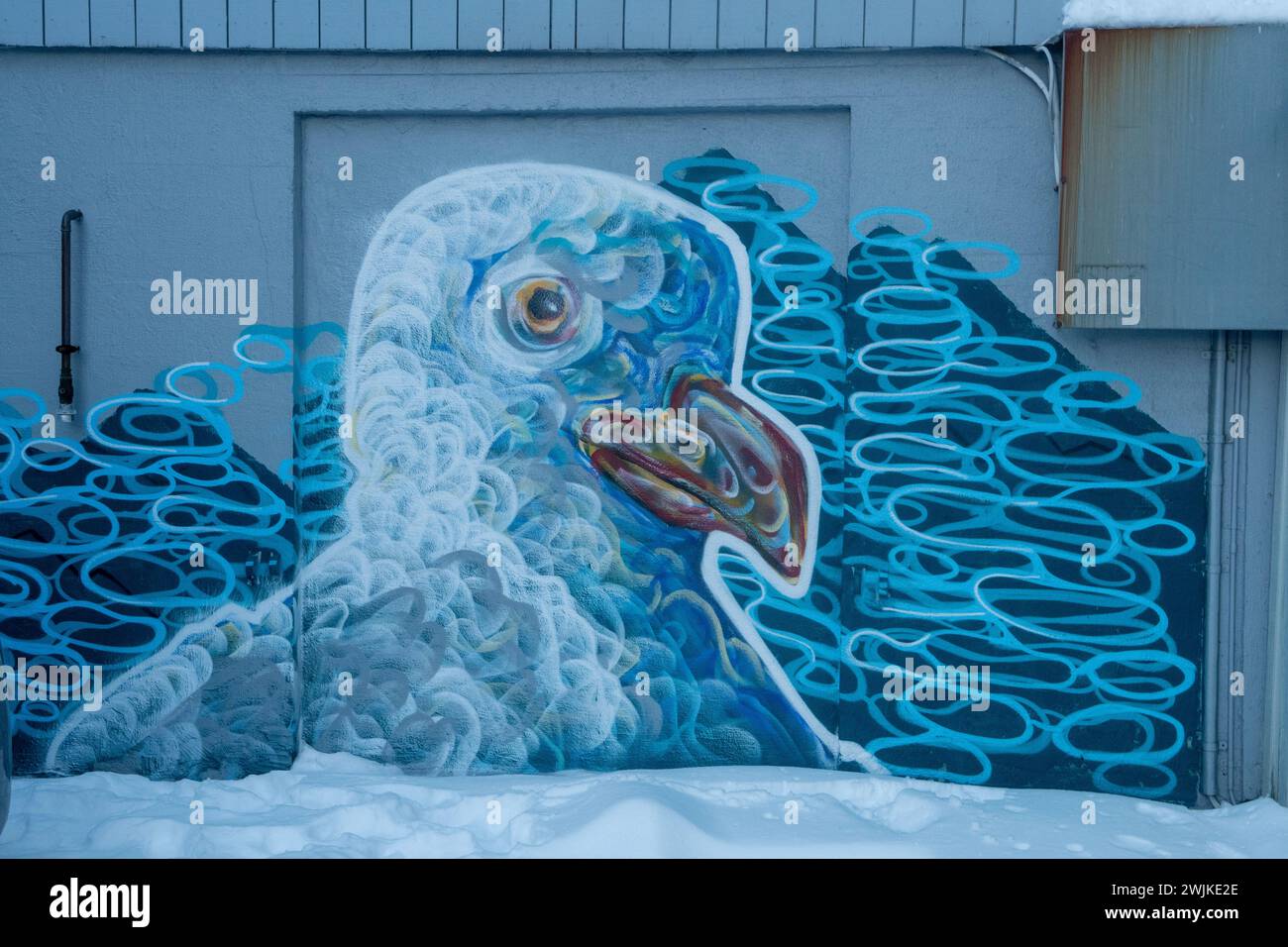 Sea Gull Street Art a Tromso, Norvegia Foto Stock