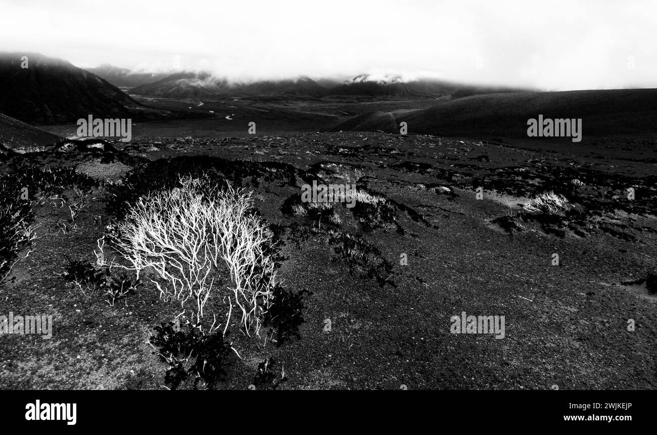 Nello stesso vulcano Osorno - Cile Foto Stock