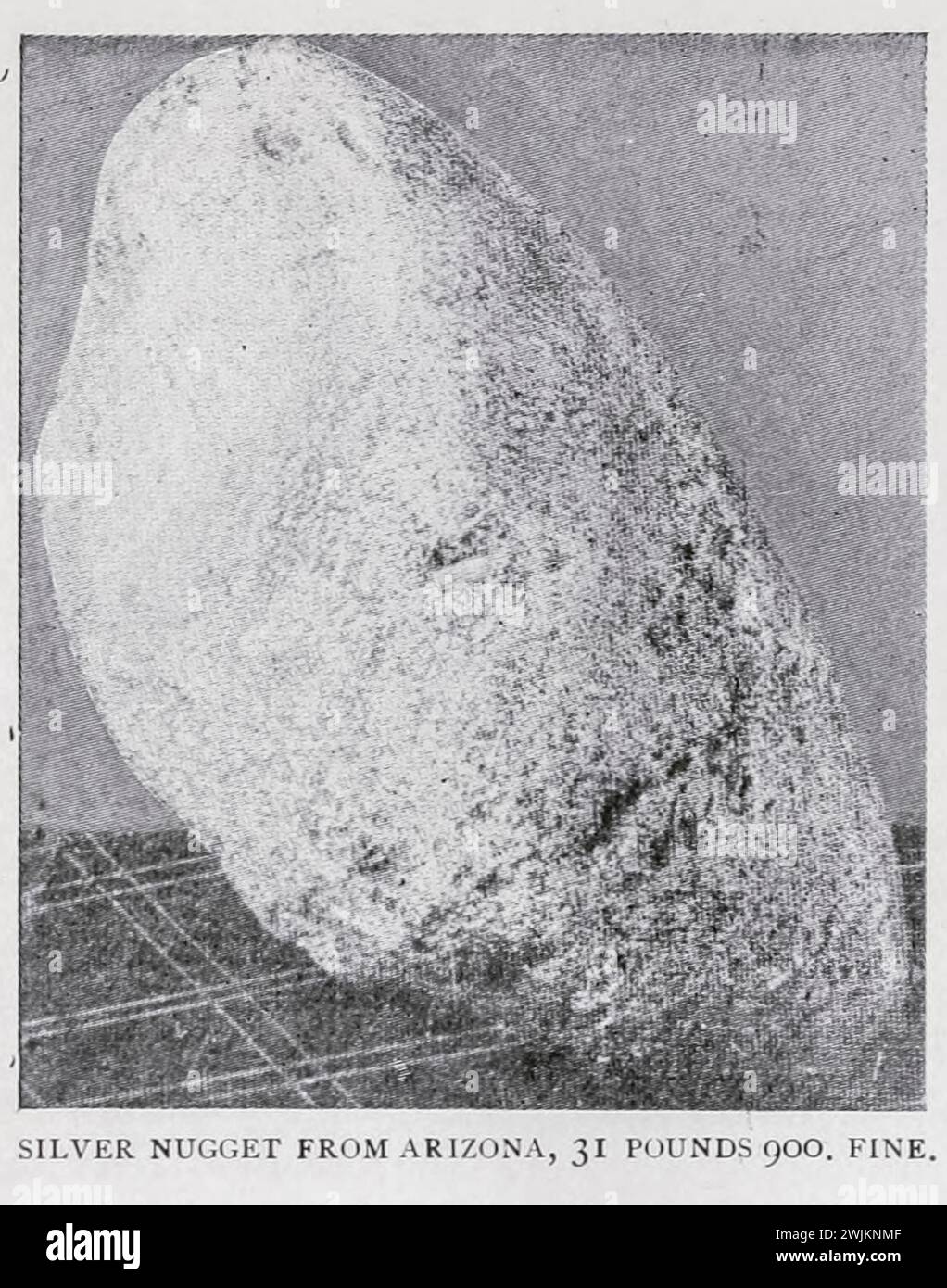 Silver Nugget dall'Arizona 31 sterline 900. Bene dall'articolo LE RISORSE MINERARIE DELL'ARIZONA. Di Thomas Toiige. Dalla rivista Engineering dedicata al progresso industriale volume XI ottobre 1897, Engineering Magazine Co Foto Stock