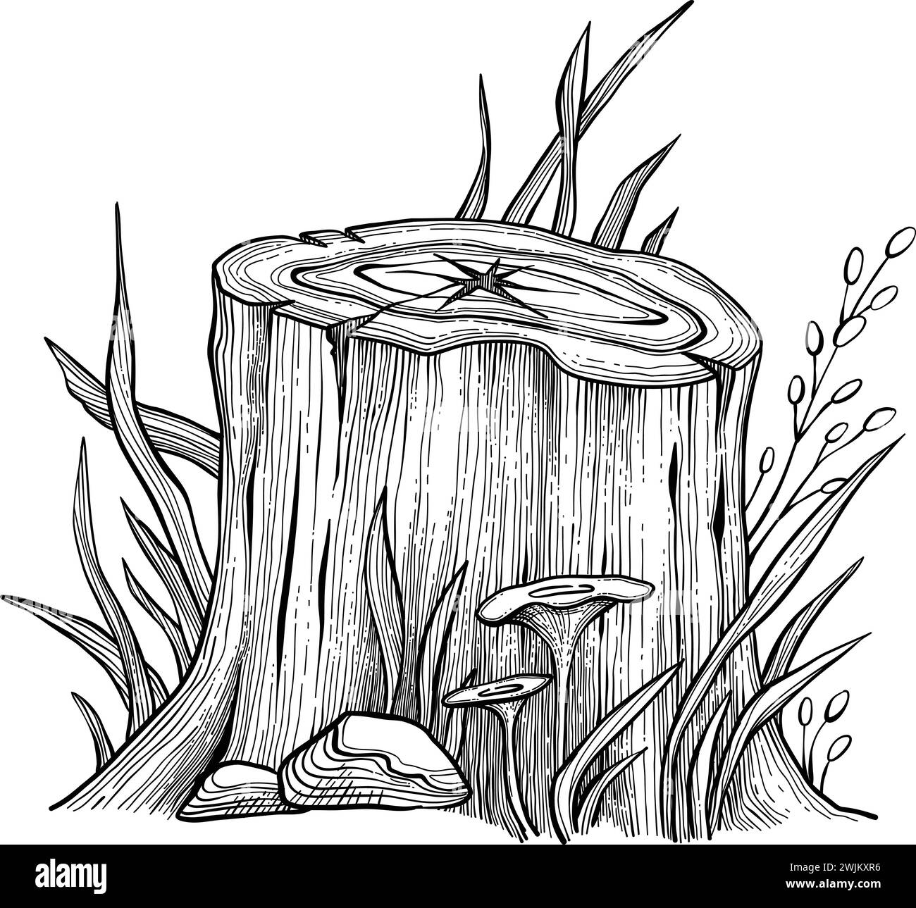 Set di illustrazioni del vettore di log e del ceppo dell'albero. Vista dall'alto e laterale delle parti del tronco dell'albero. Foresta abbattuta, legno industriale, materiale da costruzione. Legna da ardere Illustrazione Vettoriale