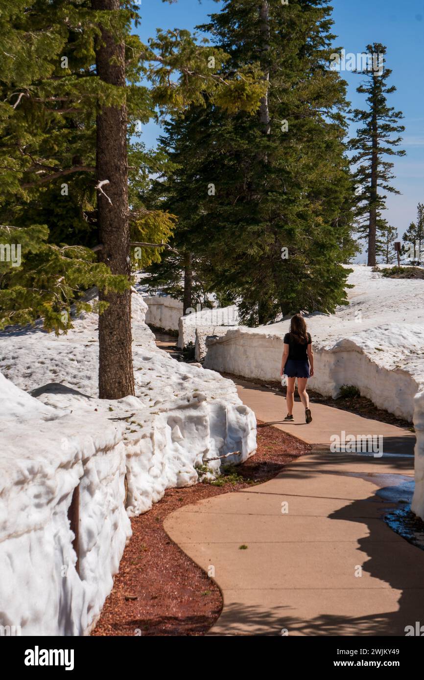 Donna che cammina tra alte pareti di neve nel parco nazionale del Bryce Canyon, Utah, durante una calda giornata primaverile. Cielo blu, percorso libero. Vicino a Rainbow Point Foto Stock