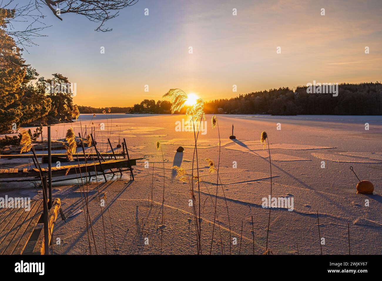 Alba di un lago ghiacciato, con cielo azzurro, sottile strato di cirrus, tardo inverno svedese, vicino a Drottningholm, Stoccolma. Foresta e alberi. Foto Stock