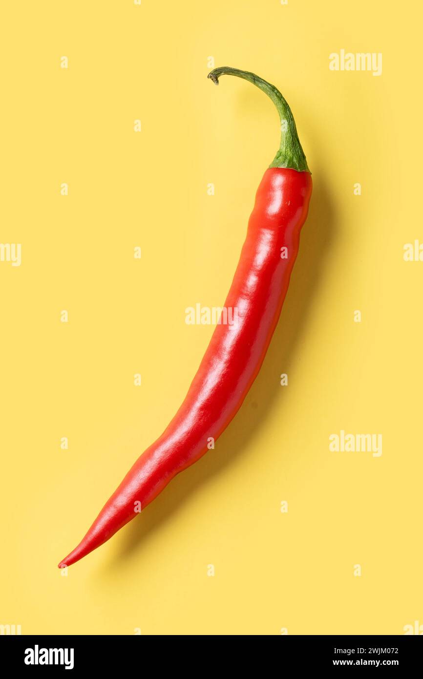 Peperoncini rossi caldi su sfondo giallo Foto Stock