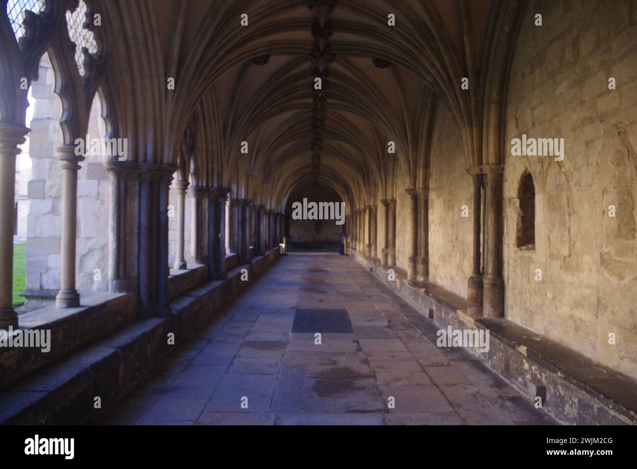 Cattedrale di Norwich, Norwich, Inghilterra Foto Stock