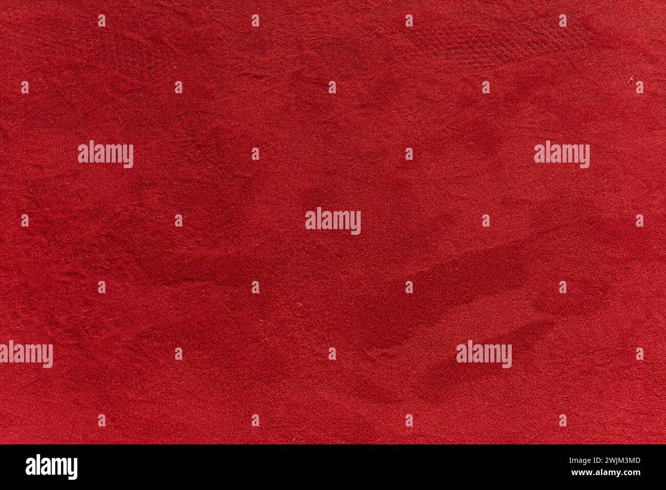 Berlino,16.02.2024,74.Berlinale,Zoo Palast,Roter Teppich *** Berlino,16 02 2024,74 Berlinale,Zoo Palast,Red carpet Foto Stock