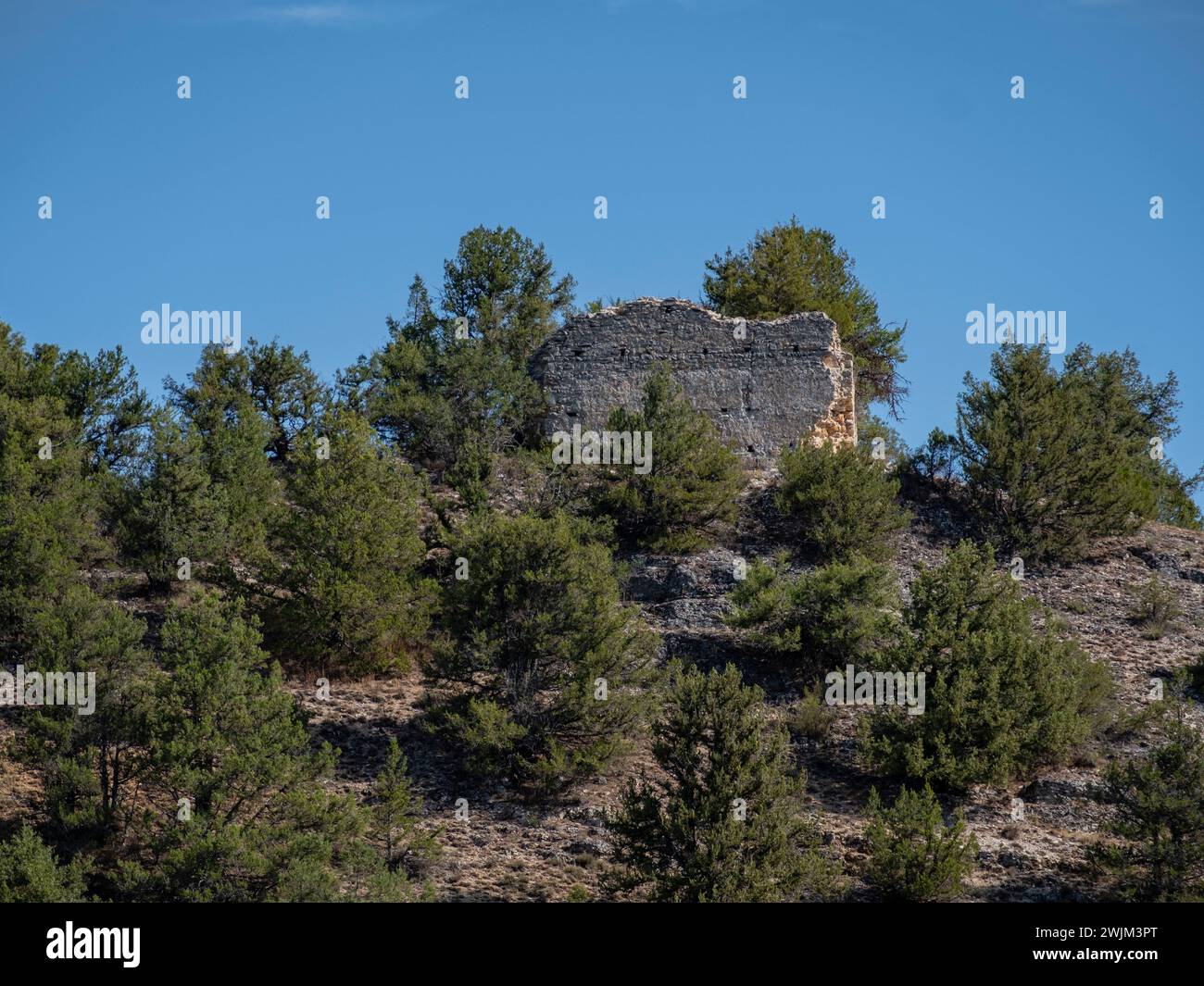 castello, Muriel de la Fuente, Soria, Comunità autonoma di Castiglia, Spagna, Europa Foto Stock