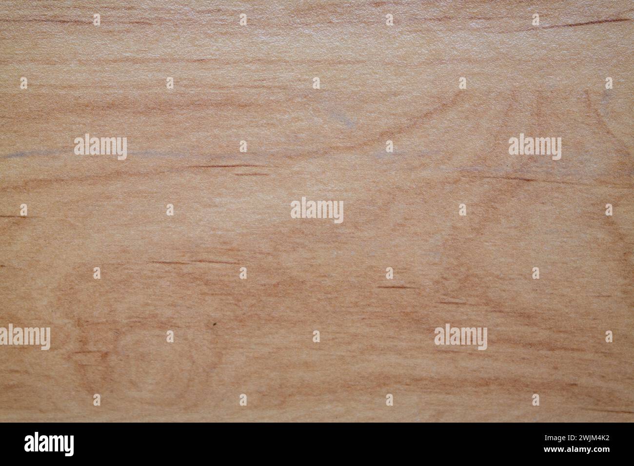 materiale di fondo in legno di quercia Foto Stock