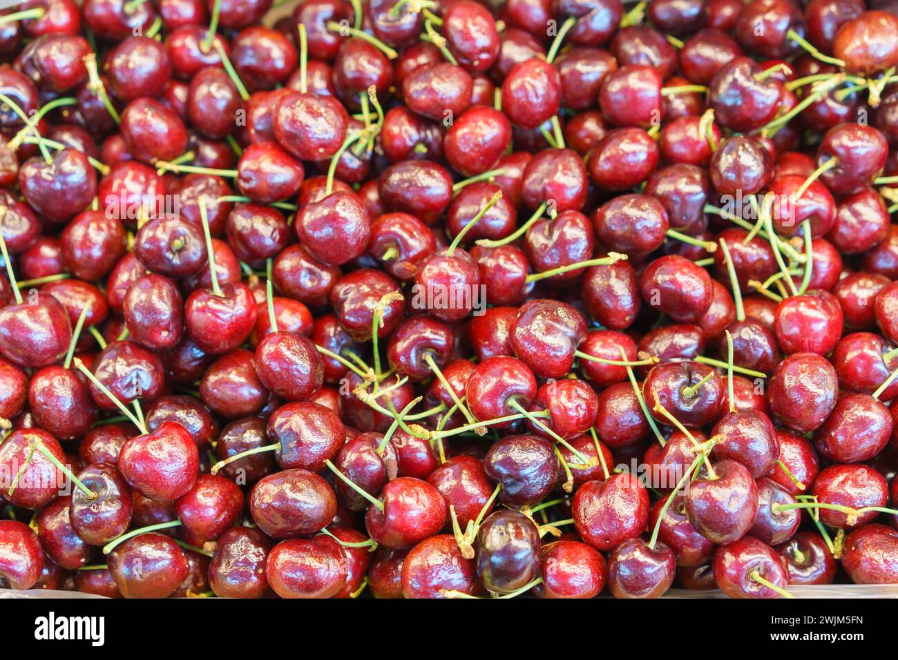 Un grande mucchio di ciliegie lucide e mature con gambi, che offrono una consistenza fresca e succosa, esposta in un mercato di frutta Foto Stock