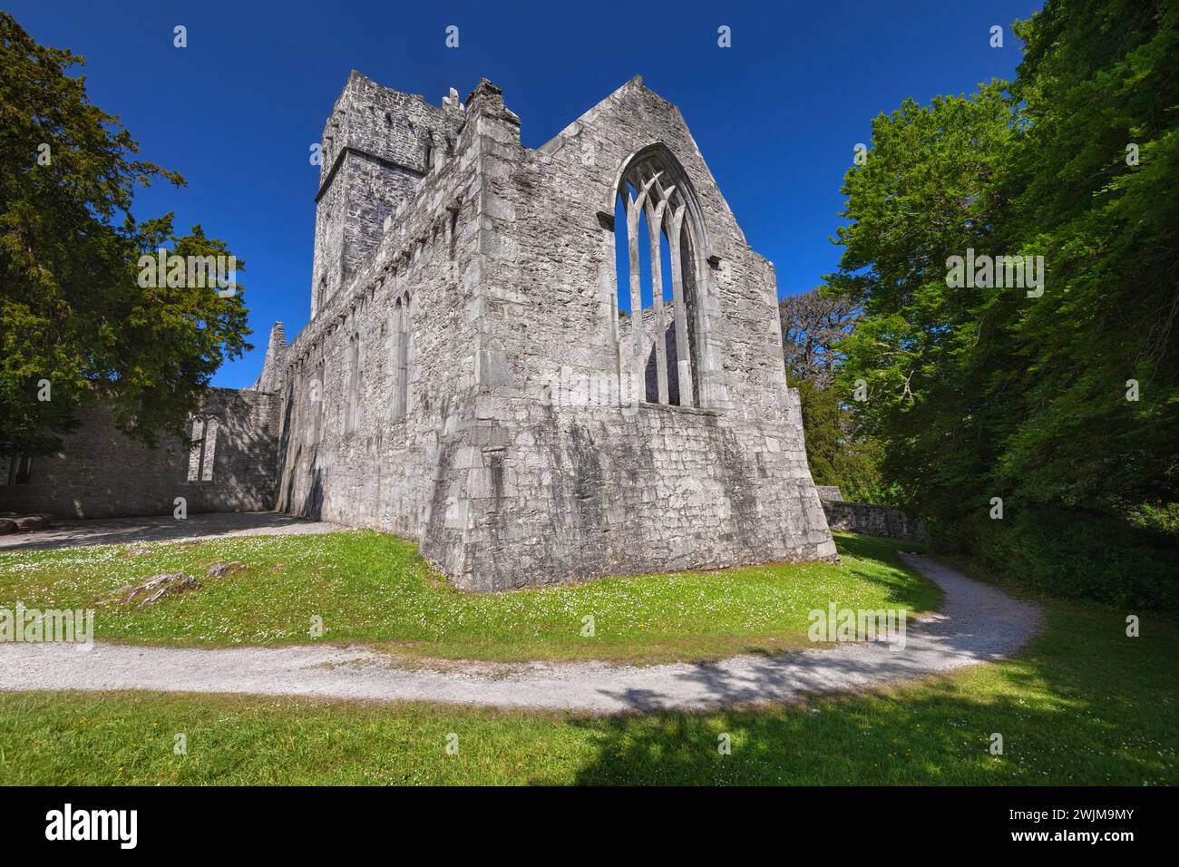 Irlanda, Contea di Kerry, Killarney, Abbazia di Muckross, fondata nel 1448 come convento francescano per gli Observantine Franciscans da Donal McCarthy Mor. Foto Stock