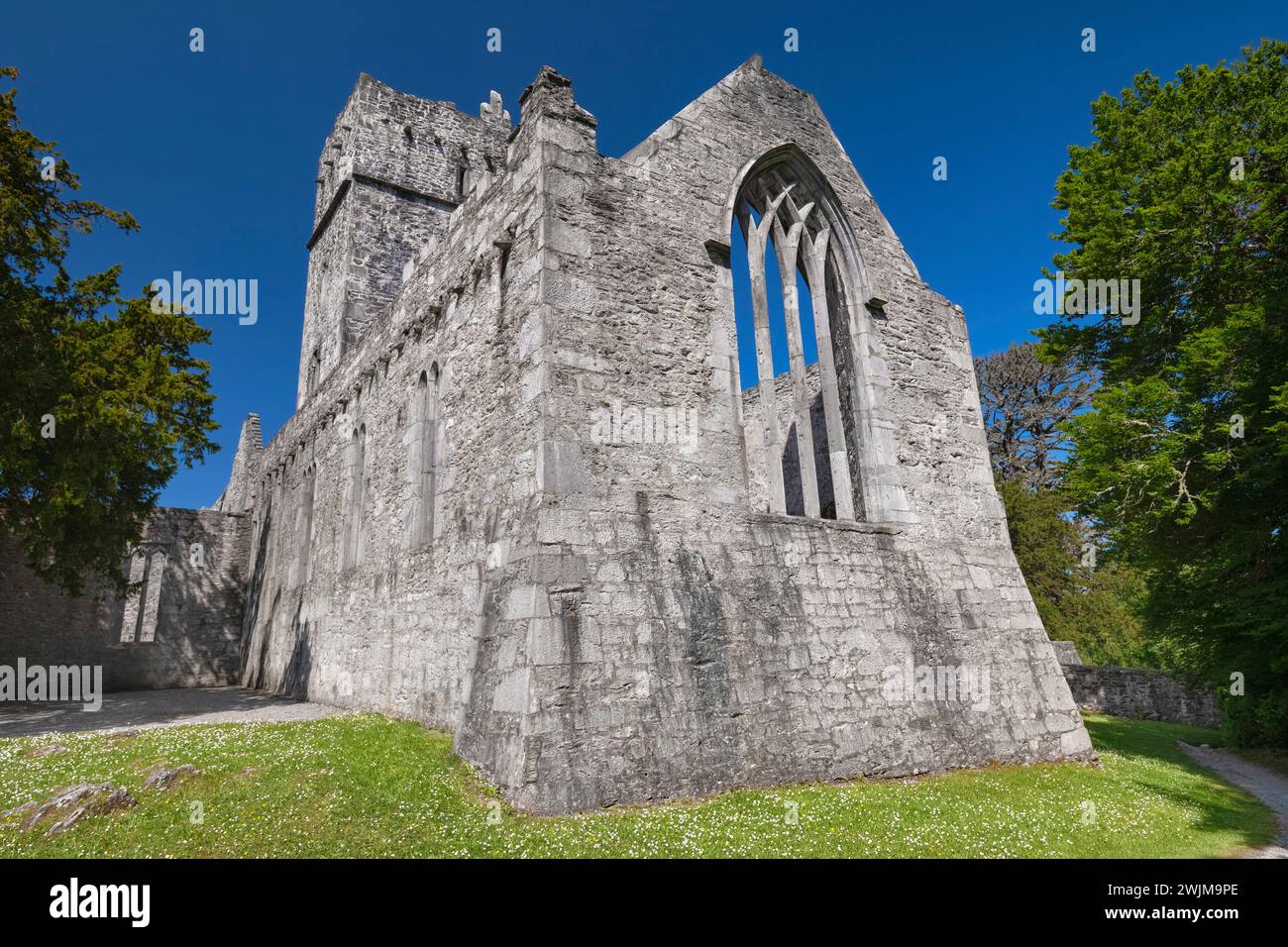 Irlanda, Contea di Kerry, Killarney, Abbazia di Muckross, fondata nel 1448 come convento francescano per gli Observantine Franciscans da Donal McCarthy Mor. Foto Stock