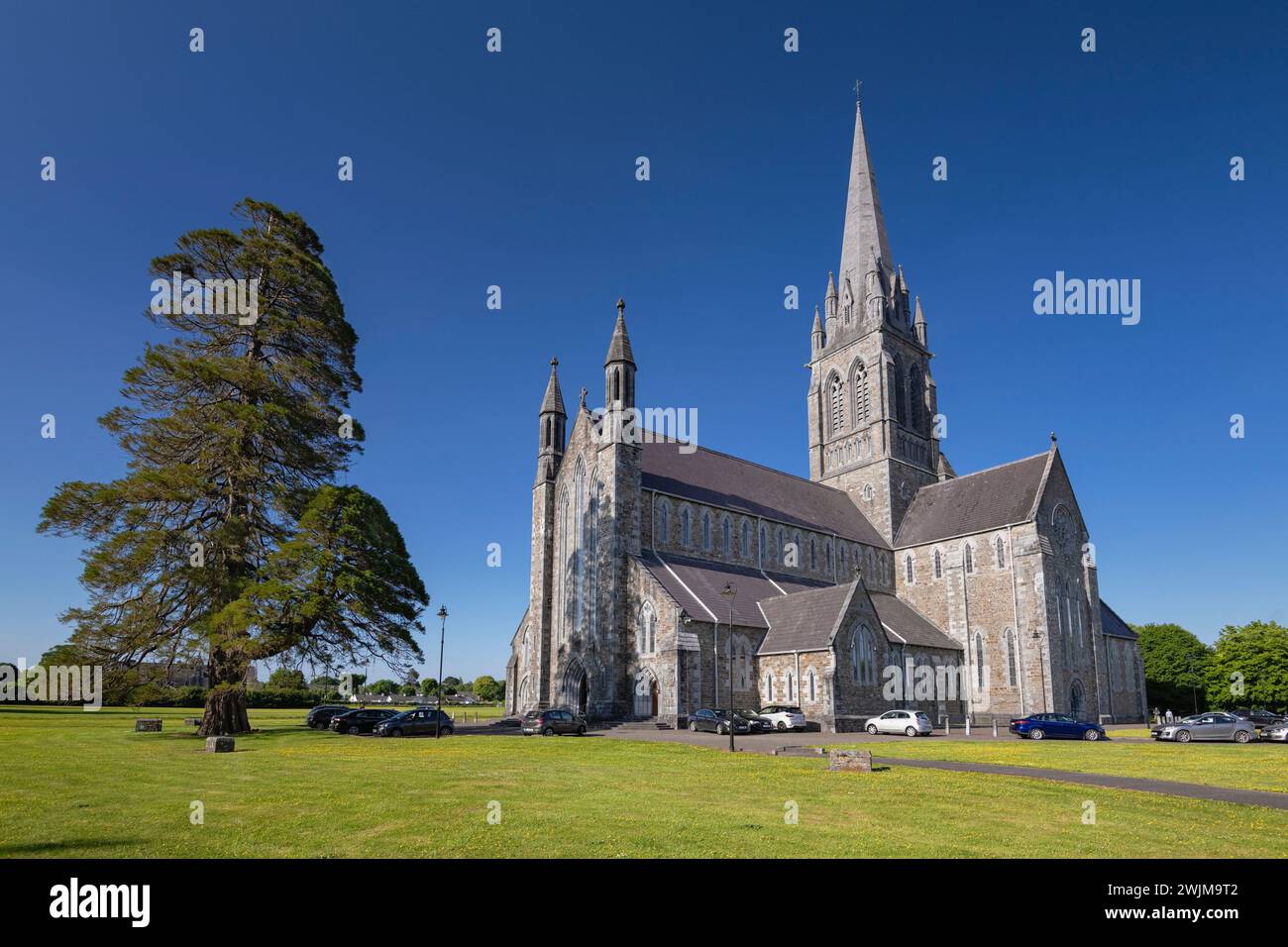 Irlanda, contea di Kerry, Killarney, cattedrale cattolica di St Mary completata nel 1907. Foto Stock
