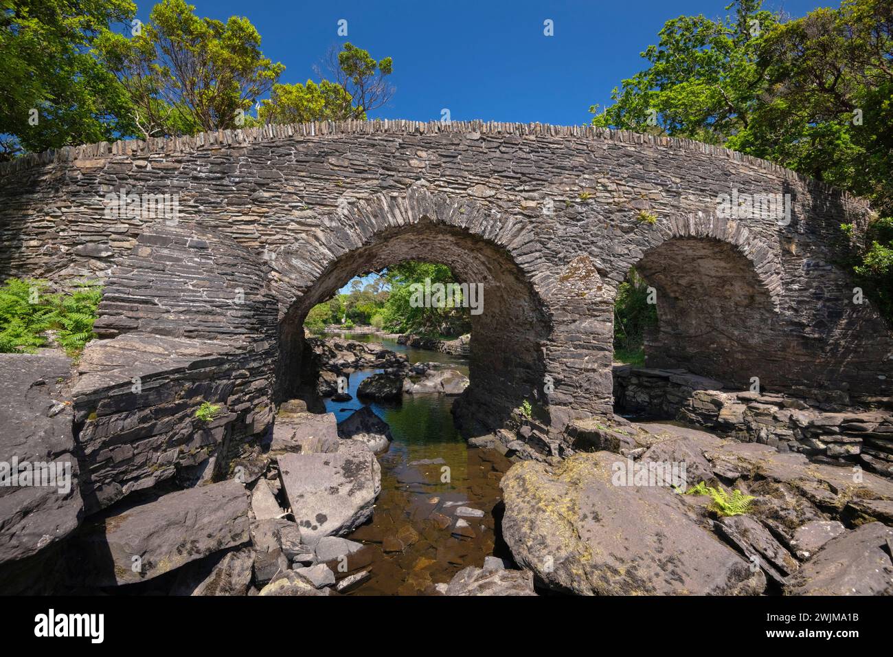 Irlanda, Contea di Kerry, Killarney, Old Weir Bridge all'incontro delle acque dove si incontrano i 3 laghi di Killarney. Foto Stock