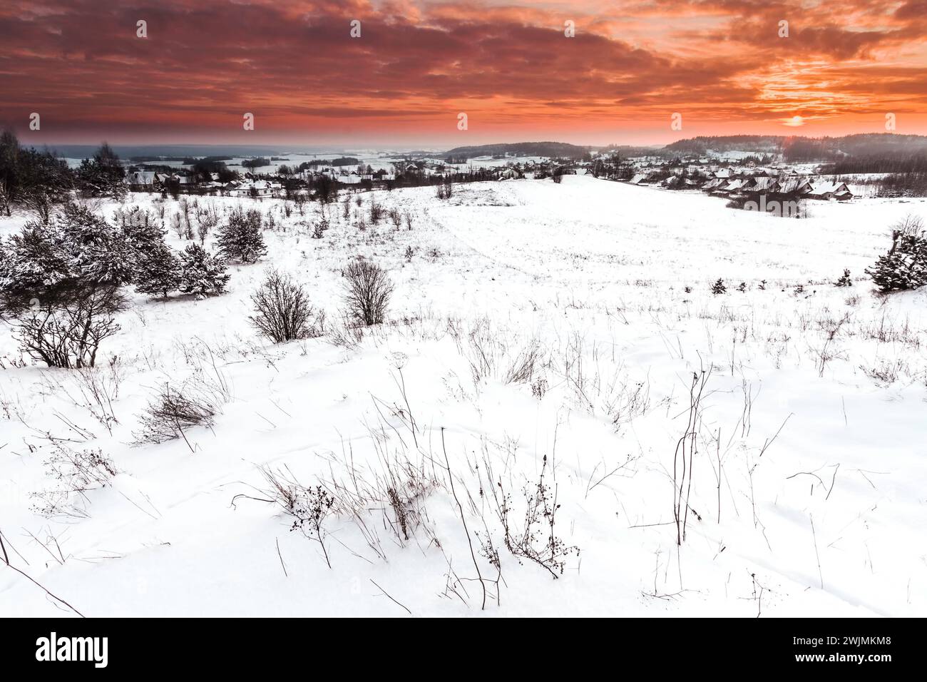 Paesaggio campi innevati invernali in Polonia, Europa nelle giornate di sole in inverno, incredibile cielo blu tramonto Foto Stock