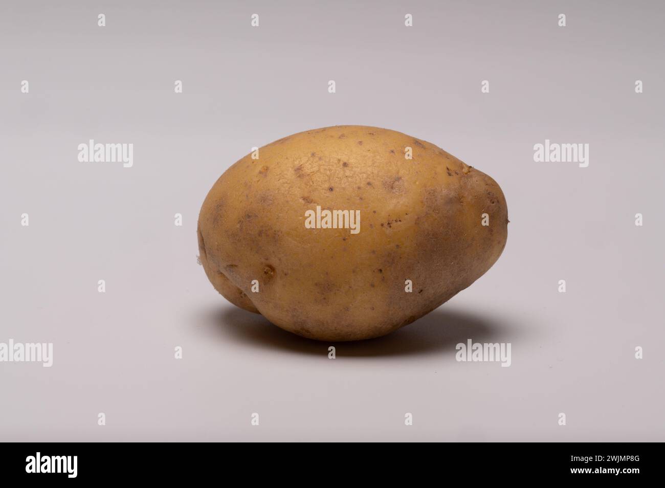 , Food, Deutschland, Rheinland-Pfalz, 16.02.2024, Einzelne frische Kartoffel auf neutralem Hintergrund. Foto Stock