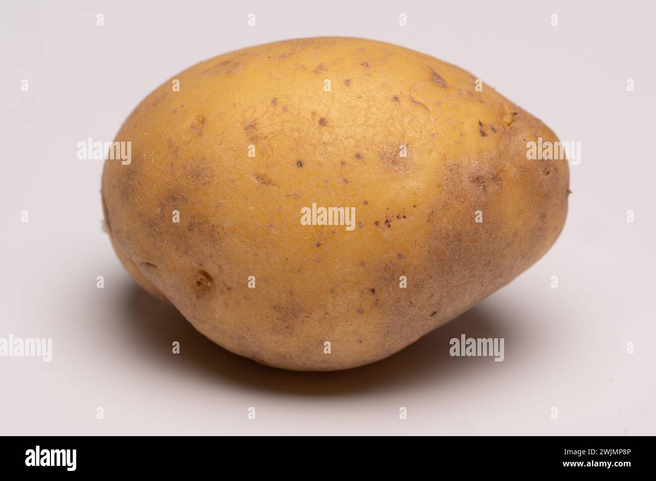 , Food, Deutschland, Rheinland-Pfalz, 16.02.2024, Einzelne frische Kartoffel auf neutralem Hintergrund. Foto Stock