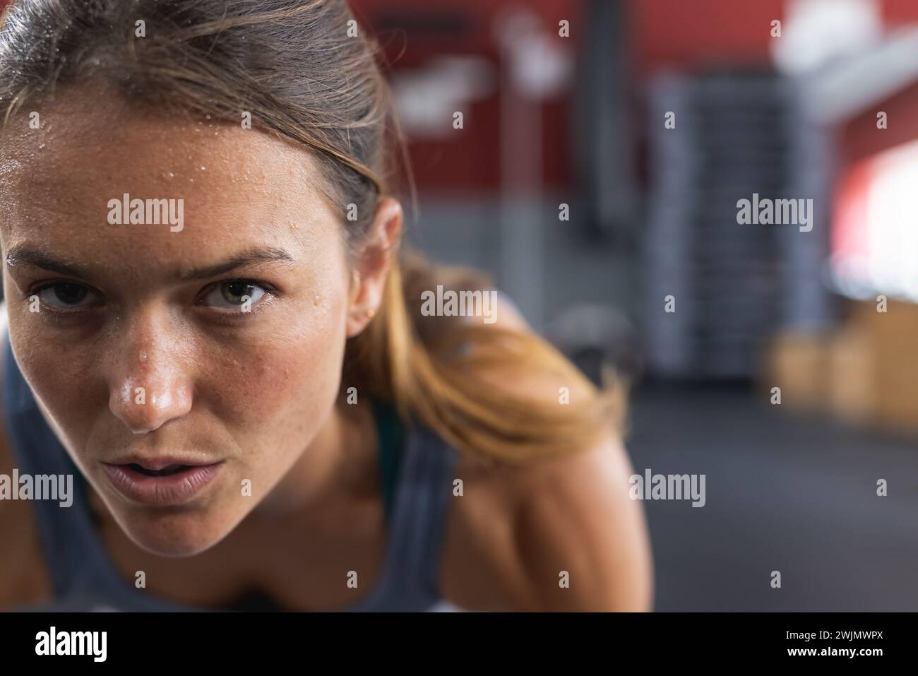 Fit giovane donna caucasica si concentra durante un allenamento Foto Stock