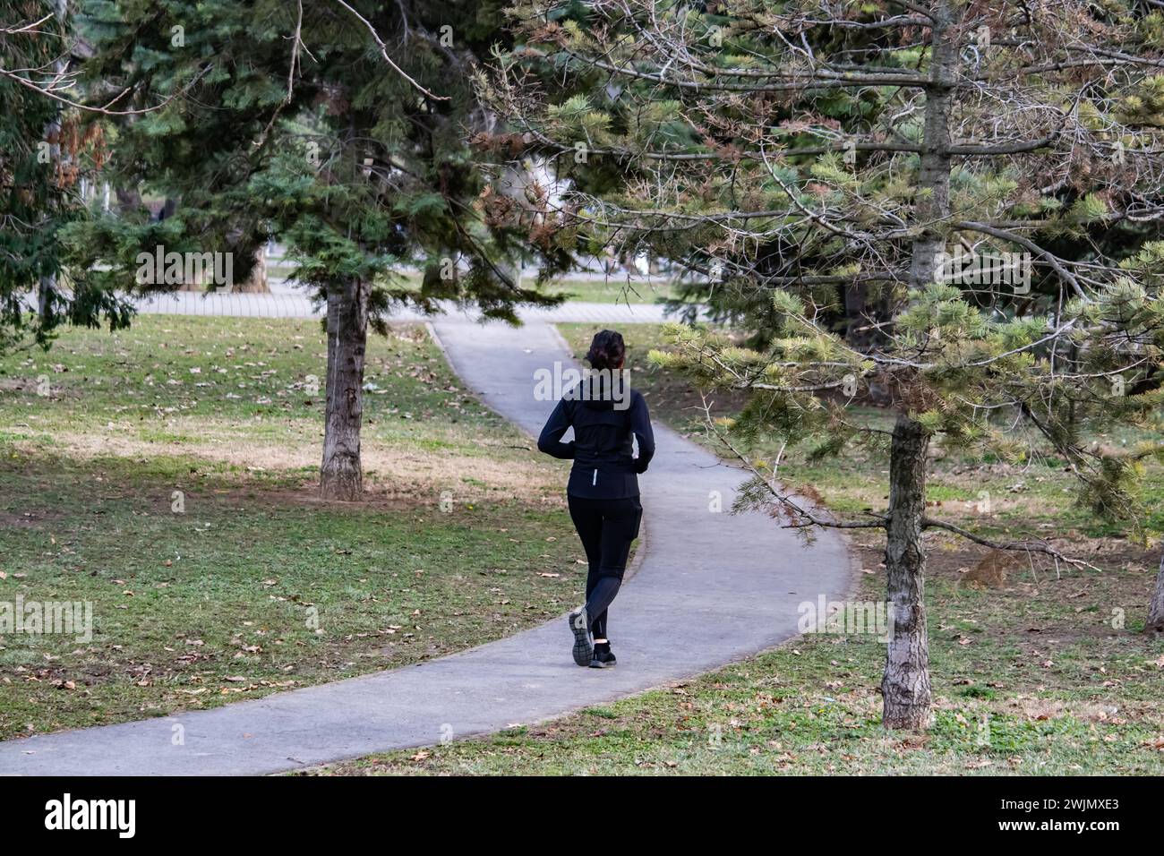 Giovane donna che fa jogging nel parco la mattina. Bella ragazza caucasica che corre all'aperto, vita sana e stare in forma Foto Stock