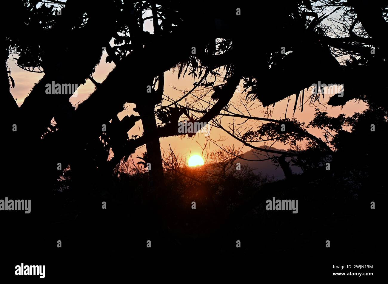 Volcán MIRAVALLES, PROVINCIA DI ALUAJUELA, COSTA RICA: Magica ora di tramonto vista della giungla vicino a Volcán Miravalles nella provincia di Aluajuela, Costa Rica. Foto Stock