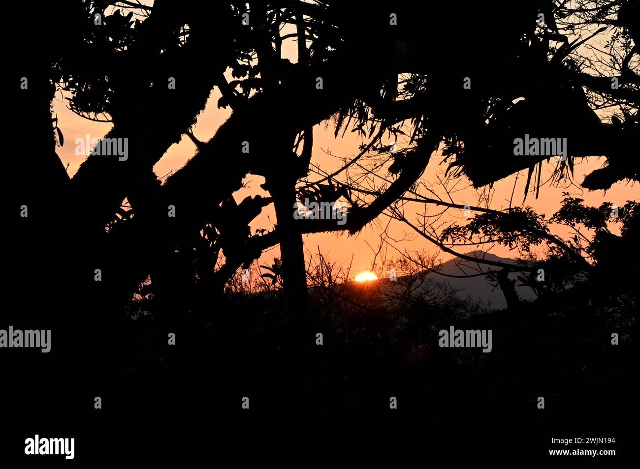 Volcán MIRAVALLES, PROVINCIA DI ALUAJUELA, COSTA RICA: Magica ora di tramonto vista della giungla vicino a Volcán Miravalles nella provincia di Aluajuela, Costa Rica. Foto Stock